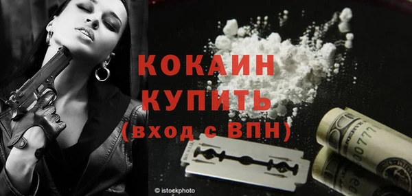 сатива Инсар