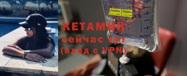 сатива Инсар