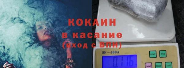 сатива Инсар