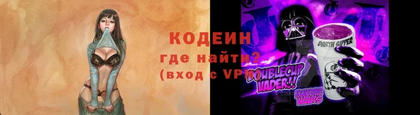 сатива Инсар