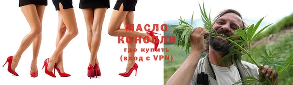 сатива Инсар