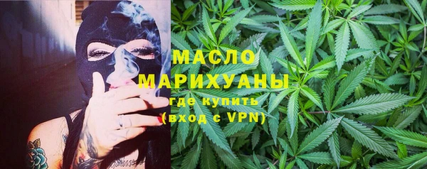 mix Инта