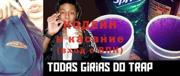сатива Инсар