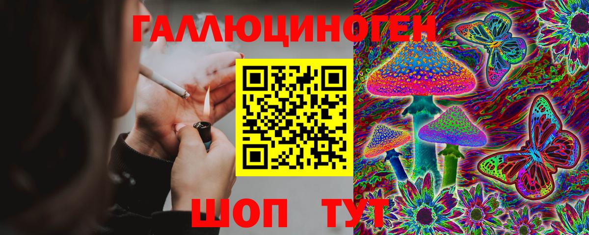 Галлюциногенные грибы MAGIC MUSHROOMS  Вход с VPN  Бийск  Галлюциногенные грибы Magic Shrooms 