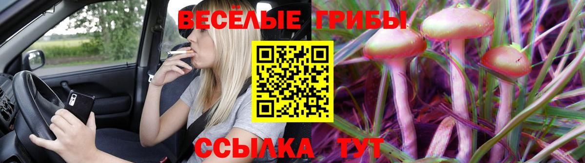 Галлюциногенные грибы мухоморы  Бийск 