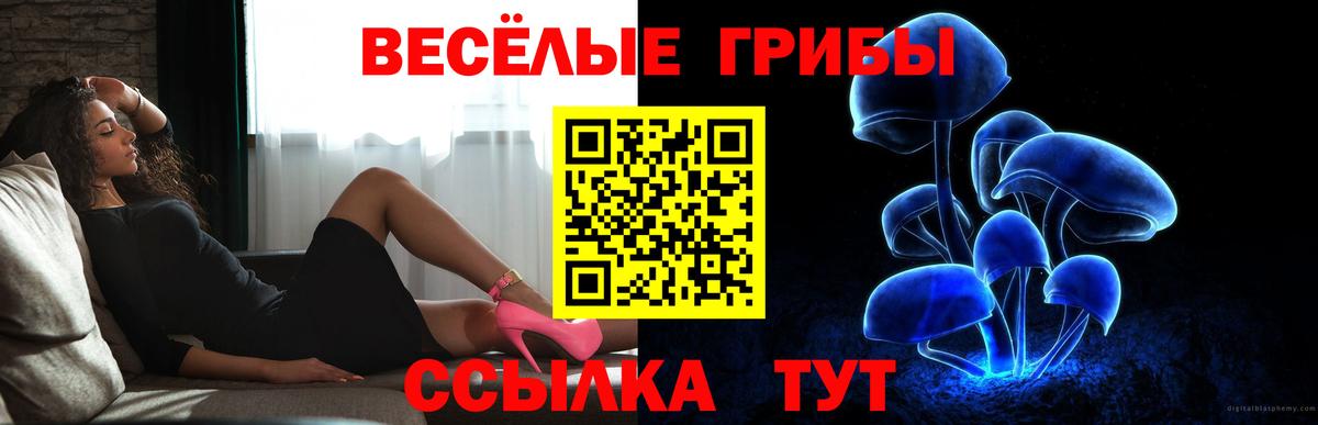 Галлюциногенные грибы мицелий Бийск